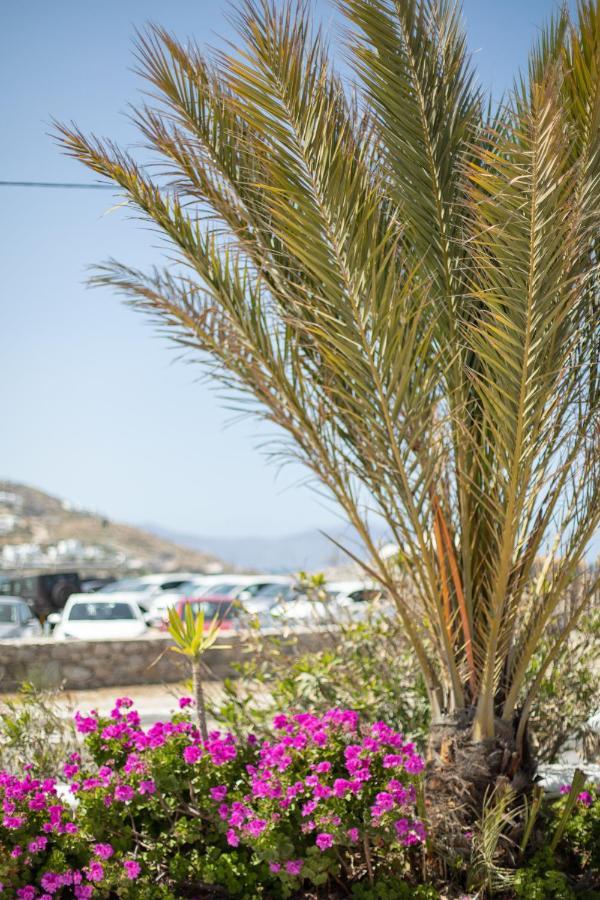 Eleftheria Hotel & Apartments オルノス エクステリア 写真